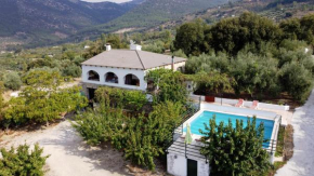 Casa Jurinea Alzar, Torres